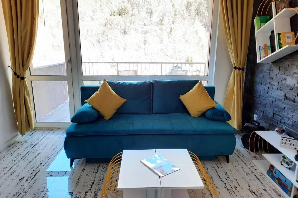 Apartament Erika سِنايا المظهر الخارجي الصورة