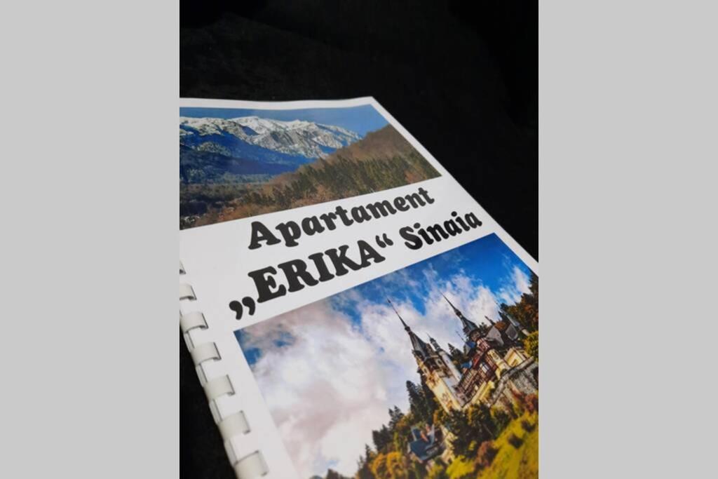Apartament Erika سِنايا المظهر الخارجي الصورة