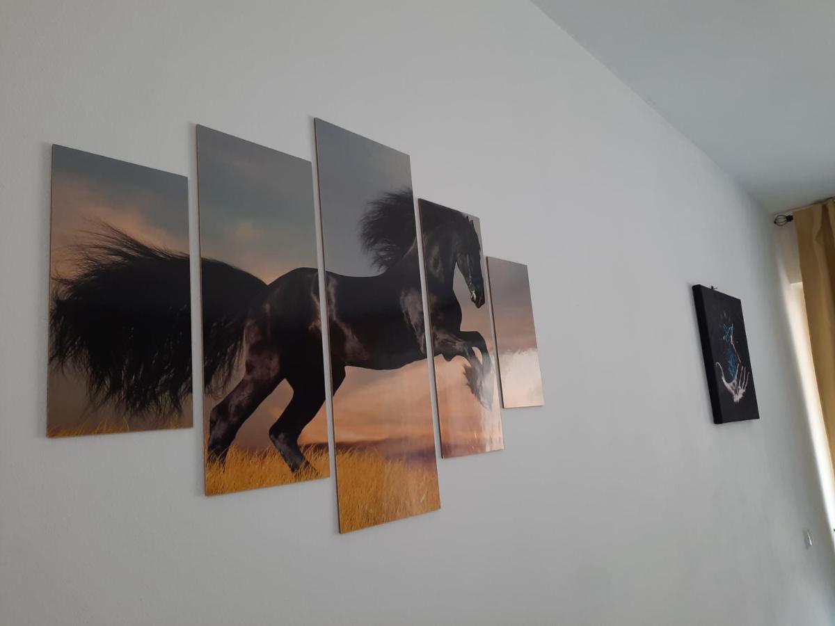 Apartament Erika سِنايا المظهر الخارجي الصورة
