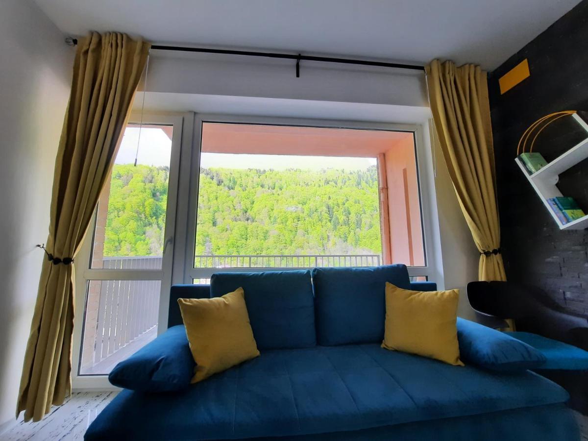 Apartament Erika سِنايا المظهر الخارجي الصورة