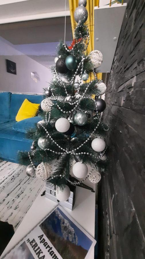Apartament Erika سِنايا المظهر الخارجي الصورة
