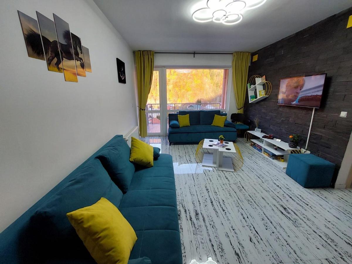 Apartament Erika سِنايا المظهر الخارجي الصورة