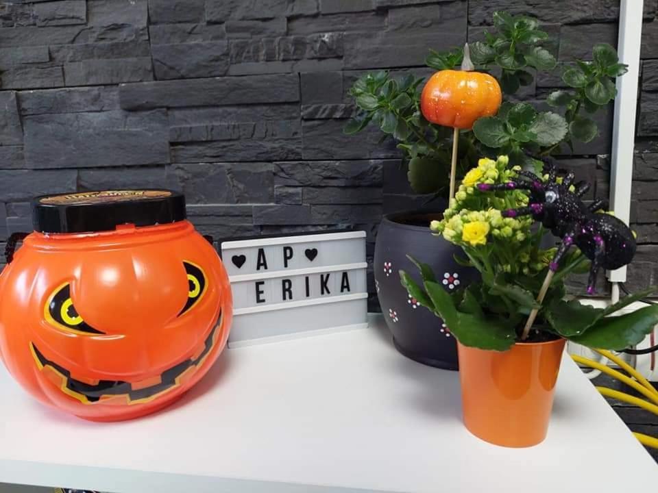 Apartament Erika سِنايا المظهر الخارجي الصورة