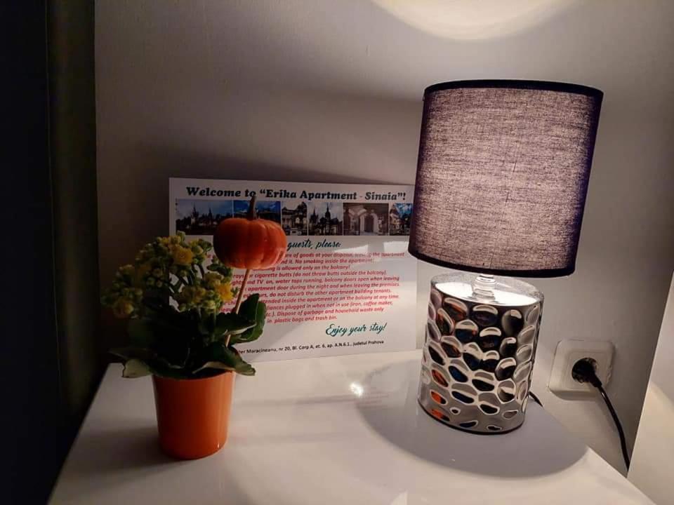 Apartament Erika سِنايا المظهر الخارجي الصورة